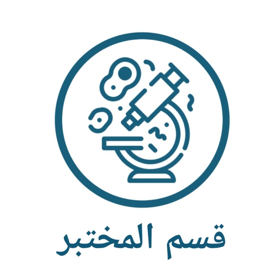 Scuba diving for beginners: tips for your first diving trip